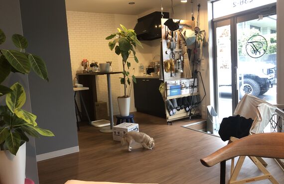 失敗から学ぶクロスの選び方とは？福岡・佐賀で注文住宅を検討中の方へ| おしゃれな注文住宅は福岡のTOMORROW HOUSE